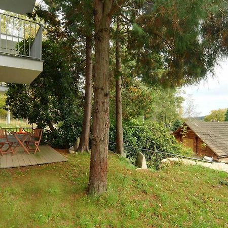Apartamenty Sun & Ski Willa Laser Szklarska Poręba Exterior foto